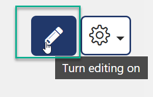 Image of the pen icon which enables turn editing on