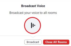 Broadcast voice window with highlighted speaker icon.