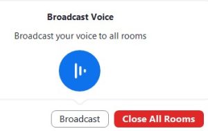Broadcast voice icon.