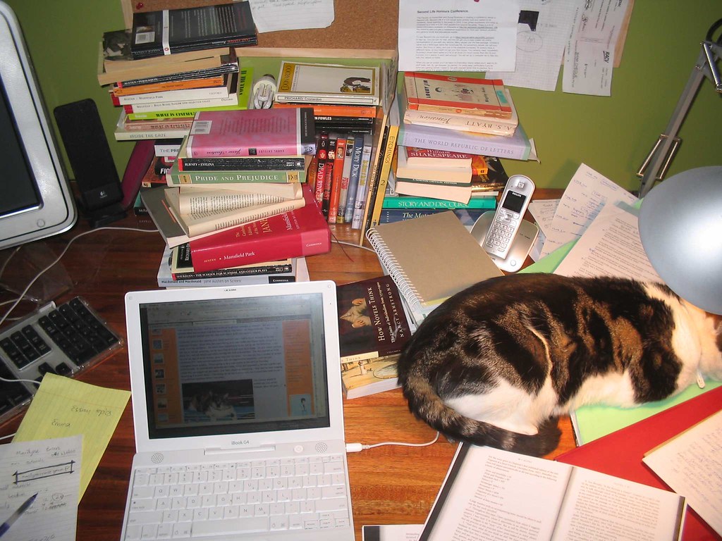 Image of cat asleep on busy home desk - 'Working from home', credit: Magicbag (Flickr)
